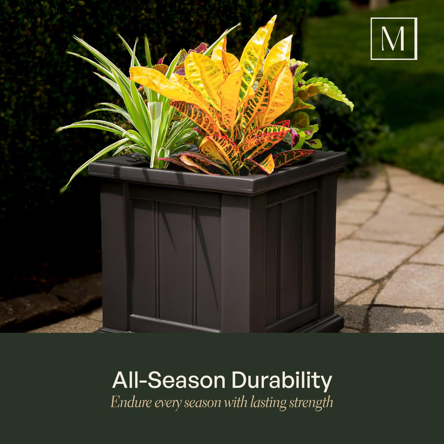 Mayne Cape Cod 16-Inch Square Planter – Self-Watering, Weather-Resistant Planter for Flowers – Durable Outdoor Design for Patio, Porch, or Entryway