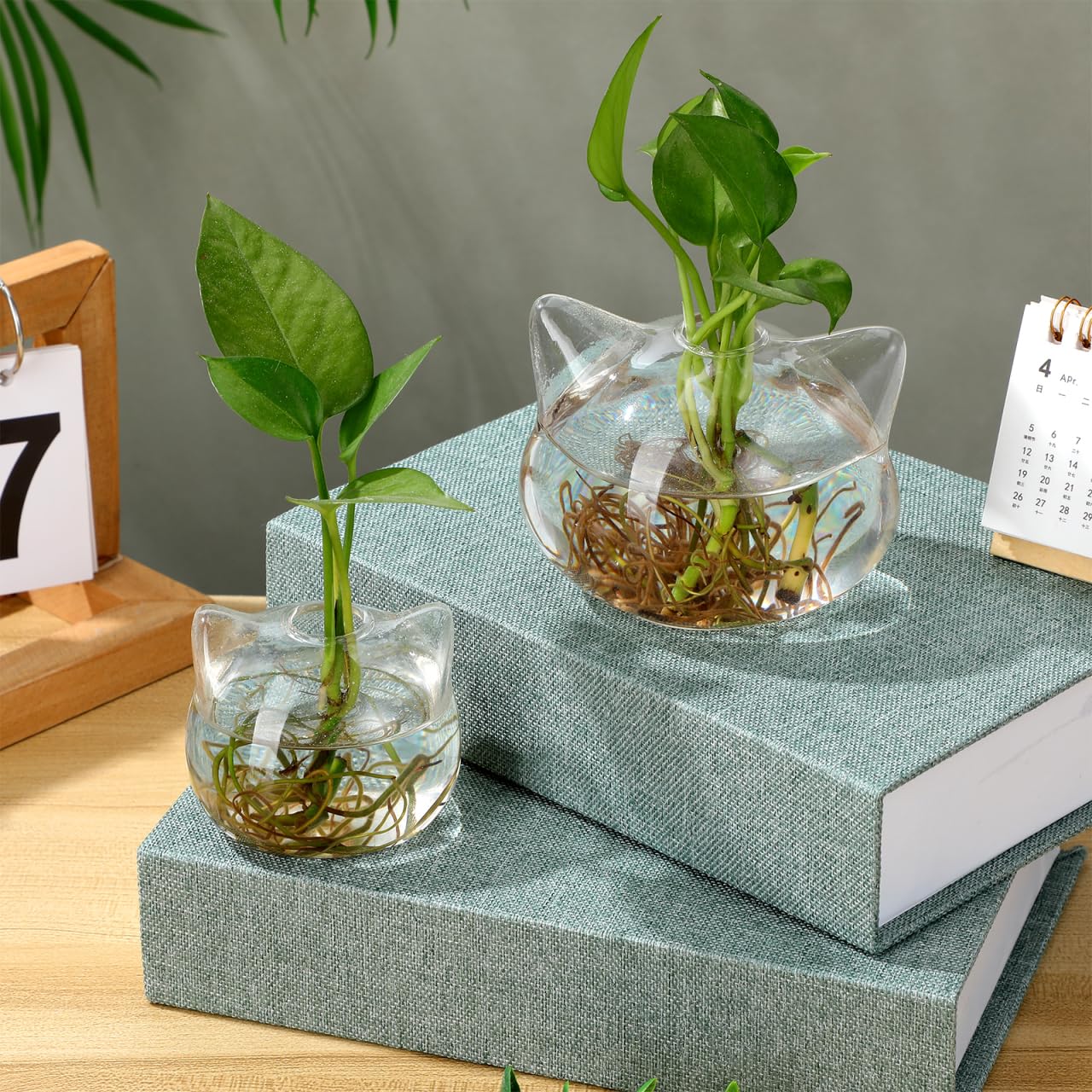 BESTOYARD 2pcs Cat Shape Glass Hydroponic Vases Decorative Floral Art Holder Small Green Plant Container for Home Office Desktop