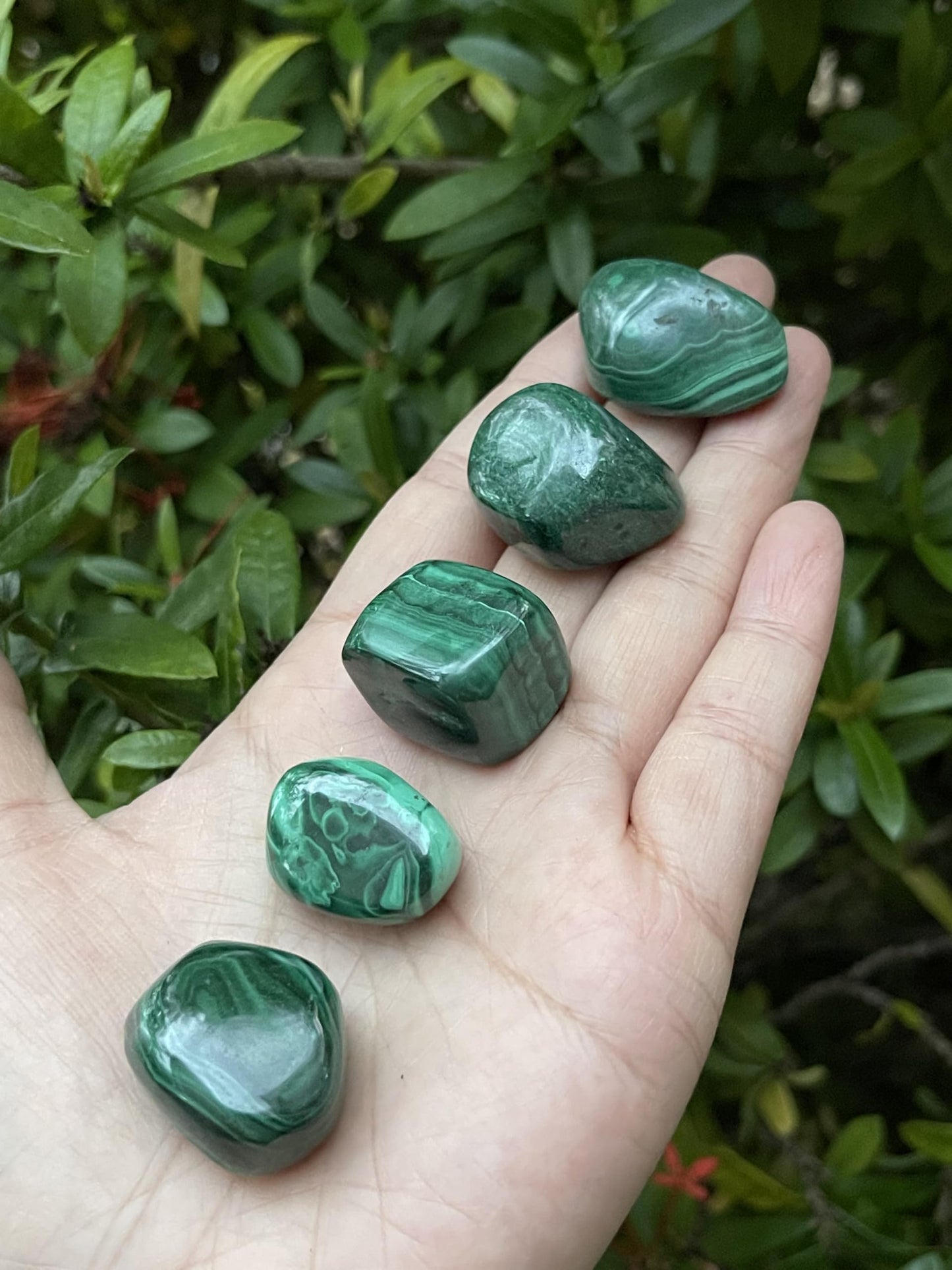 GAF TREASURES 5 Pcs Malachite Tumbled Stones, Polished Natural Malachite Gemstone, Malachite Healing Crystals (Malachite)