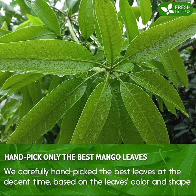 FreshDrinkUS, Premium 140+ Mango Whole Leaves Dried, 100% Natural & Pure from Dried Mango Leaves Tea, No Additives, No Caffeine, Vegan