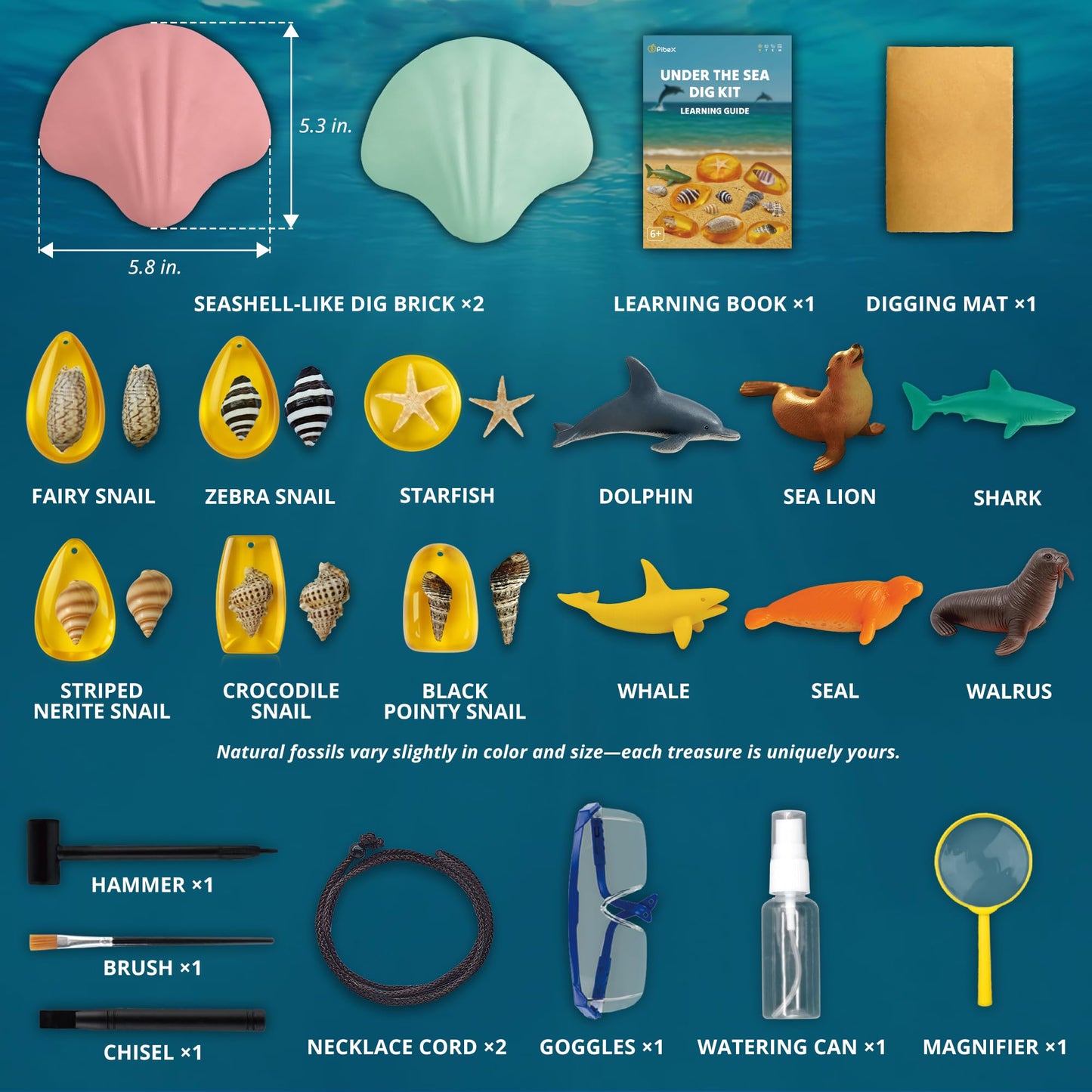 PIBEX Under-The-Sea Dig Kit – Dig & Discover 18 Real Shell Fossils, Amber Jewelry & Sea Animal Creatures – Ocean Necklace Making & STEM Excavation Activity Toy for Kids Ages 6+