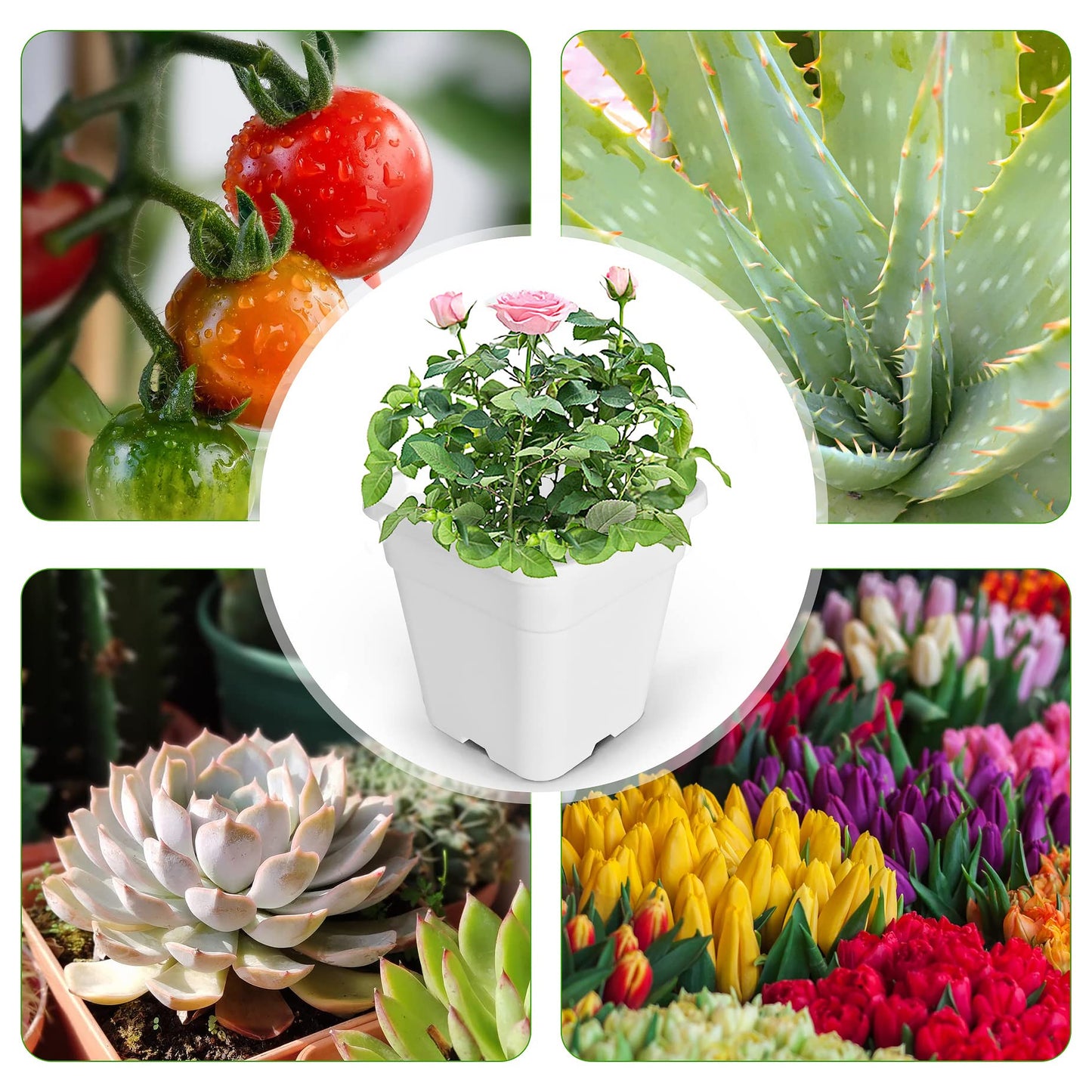 HOSTIC 1 Gallon Square Nursery Pots Flexible Plastic Pots for Plants Gallon Pot with Drainage Holes 10 Pcs