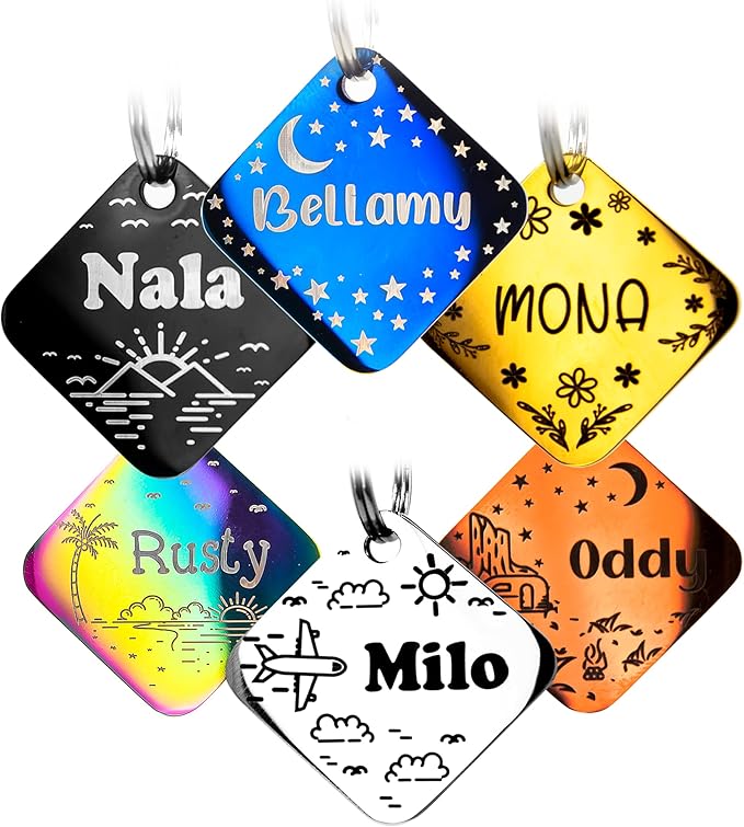 Personalized Dog Tag with 5 Lines of Custom Deep Engraved Durable Stainless Steel Pet ID Name Tag Designer Small Size Bone