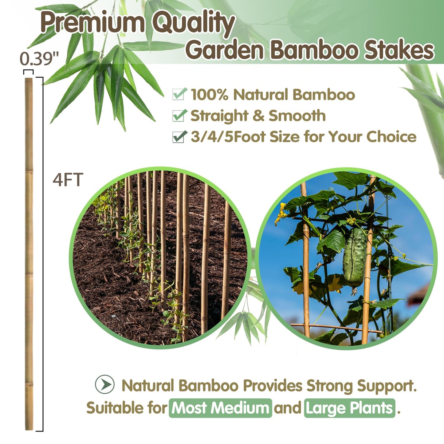 Bamboo Stakes,4FT Natural Bamboo Garden Stakes,BOVITRO 25Pcs Plant Stakes,Bamboo Sticks for Tomato,Beans,Vegetable and Climbing Plants