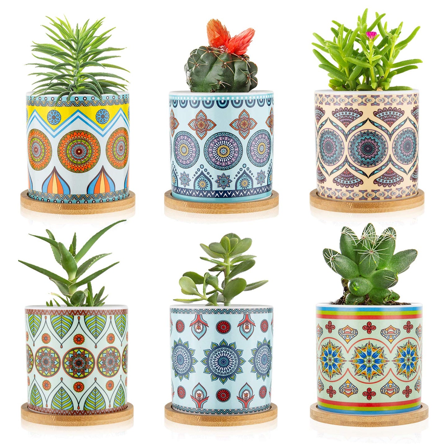 COLOAPT Succulent Plant Pots - 3.1 inch Ceramic Succulent Planter -Cylinder Flower Pots for Cactus with Drainage Hole and Bamboo Tray,6 Pack,Plants not Included