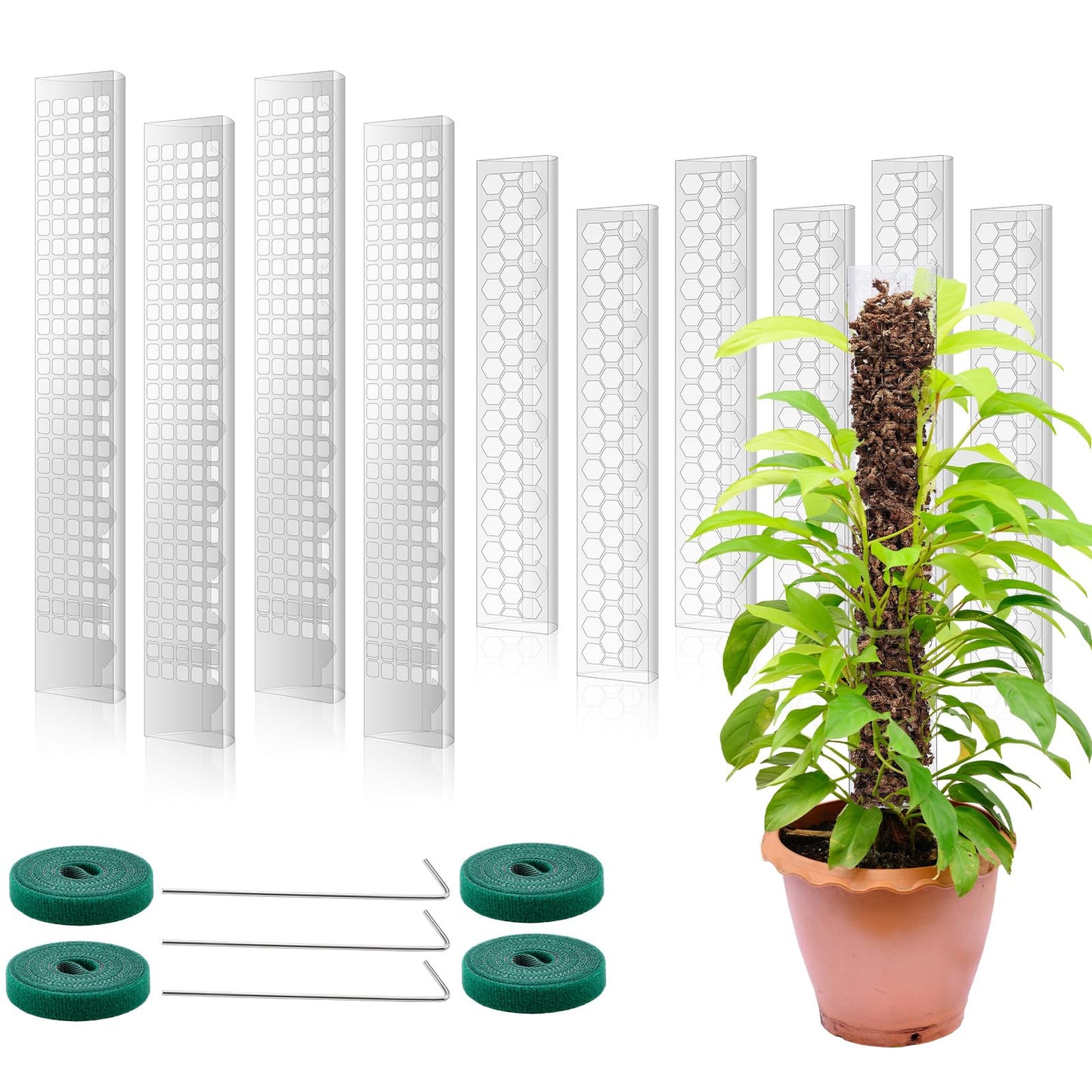 Quzzil 10 Pieces Plastic Moss Pole for Monstera Including 4 Pcs 24 Inch Clear Plant Poles for Indoor Climbing and 6 Pcs 15 Inch D Shape Stackable Plant Support Kit Work with Sphagnum Moss