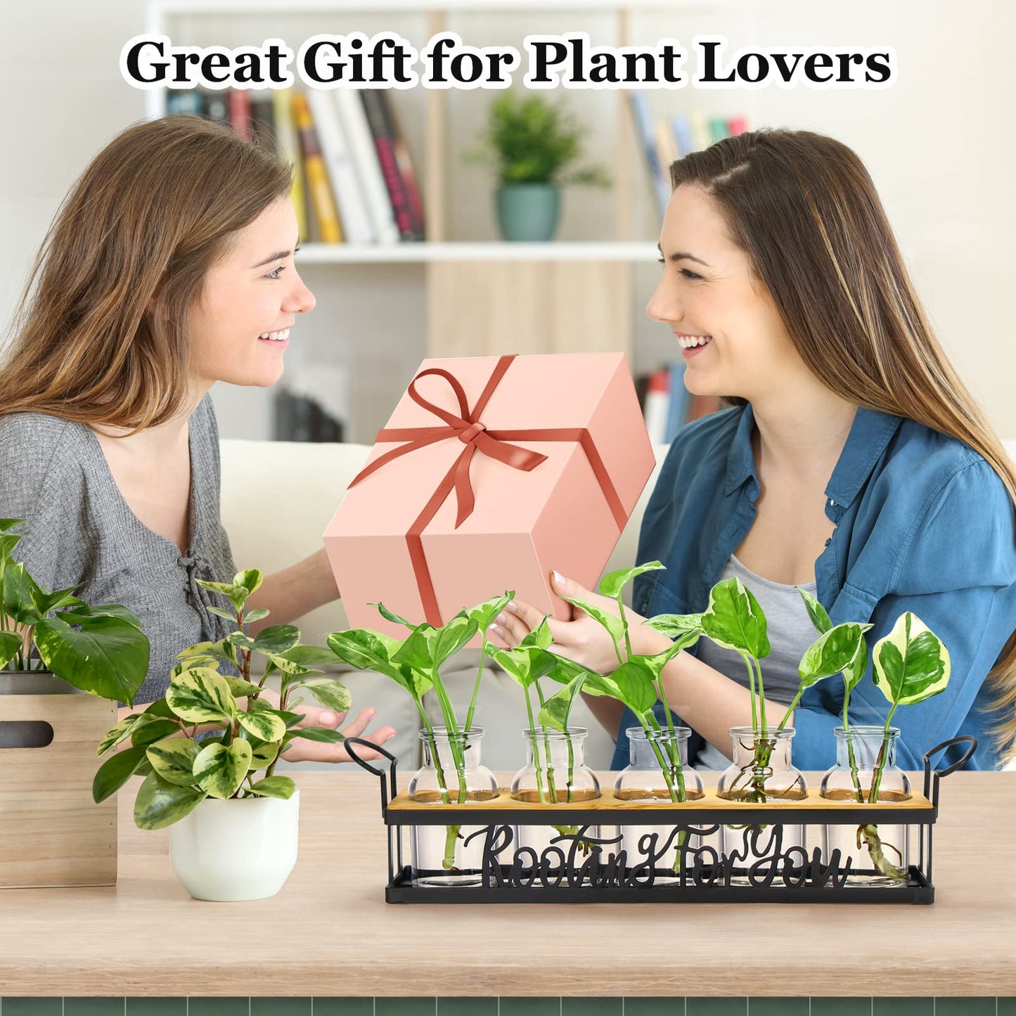 THYGIFTREE Plant Propagation Stations, for Plant Lovers Rooting for You Propagate Jars for Hydroponic Cuttings Propagating Vase