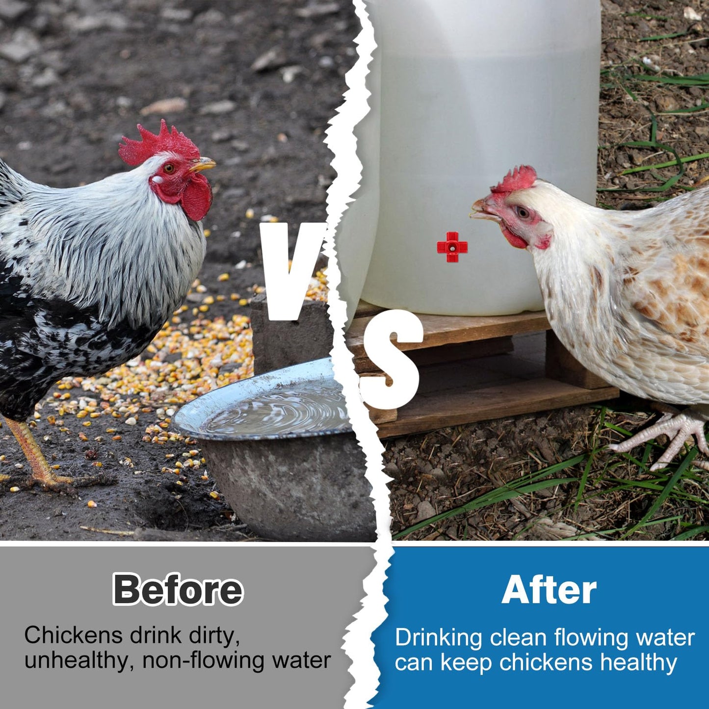 40 Pack Chicken Waterer Nipples - Easy Install Leakproof Poultry Watering System for Chicken Coop, Quail Duck Water Feeder Nipples with Drill Bits