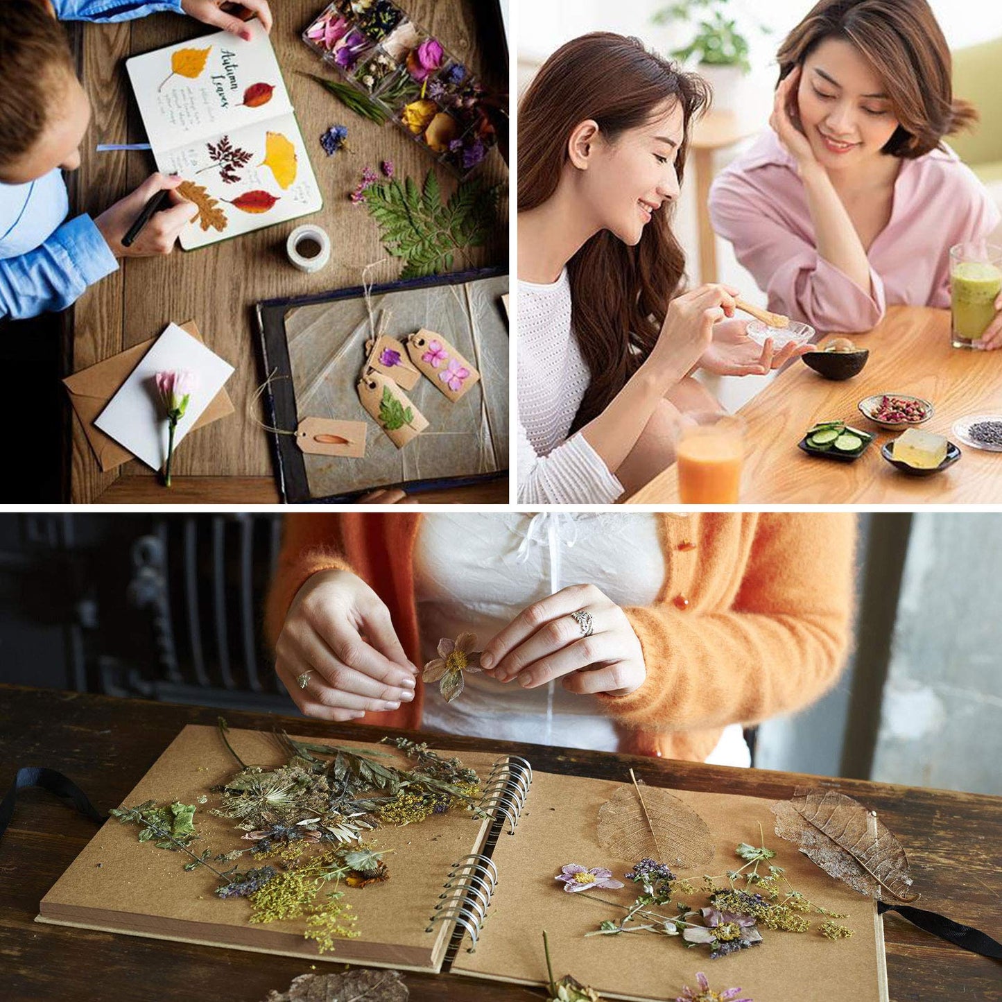 SACATR 16 Bags Dried Flowers,100% Natural Dried Flowers Herbs Kit for Soap Making, DIY Candle Making,Bath - Include Rose Petals,Lavender,Don't Forget Me,Lilium,Jasmine,Rosebuds and More