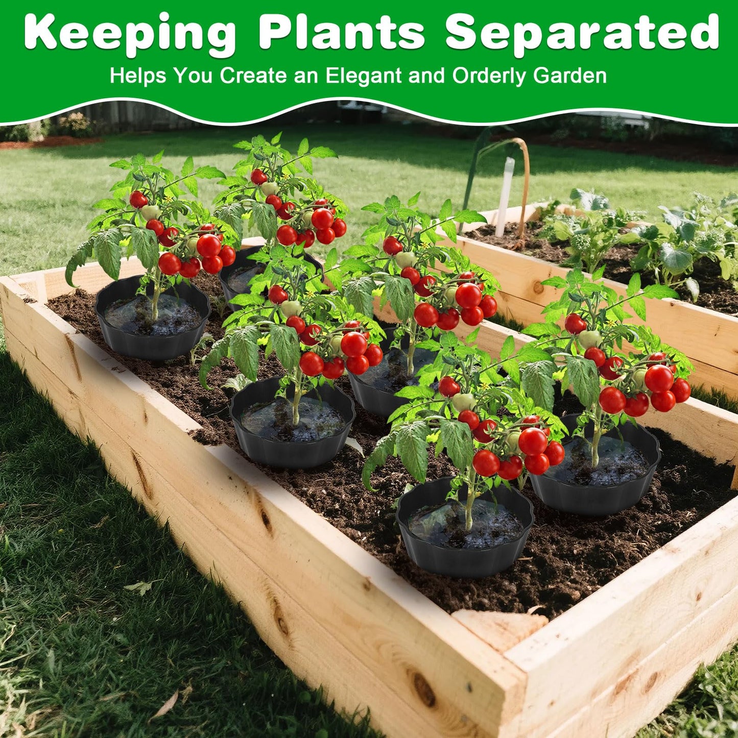 pdpdoc 6 Pack of 10 Inch Planting Grow Rings, Planting Protective Round Garden Edging, Keeping Plants Separated, Weed Control and Directing Water to the Roots (10 Inch - 6 Pack - Black)