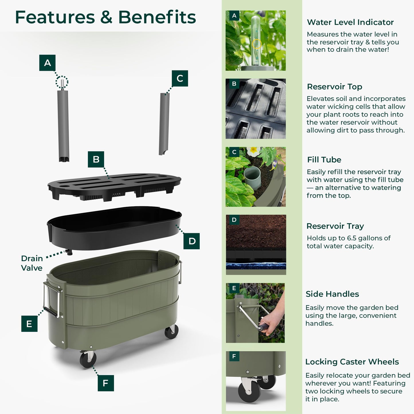 Permasteel Self-Watering Garden Bed, Rolling Planter for Vegetables, Flowers, Herbs, and Fruit, Outdoor Indoor, Caster Wheels, Army Green