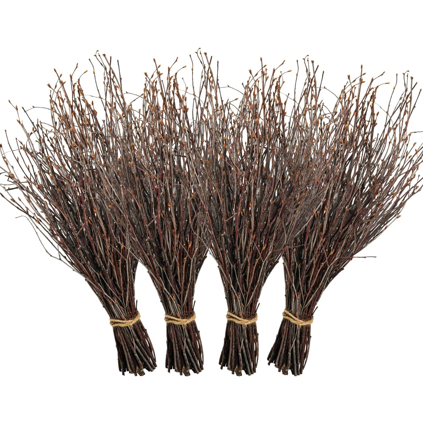 Ruidazon 200 Pcs Real Dried Birch Branches, 17 Inch Natural Birch Twigs Tall Birch Tree Sticks for Decorative Vases, Crafts, DIY Floral Arrangements Wreath Wedding Centerpiece Home Decor