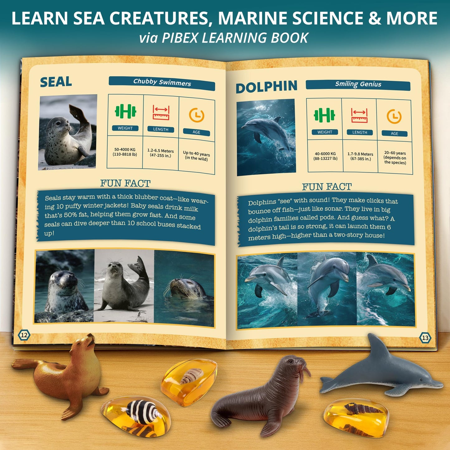 PIBEX Under-The-Sea Dig Kit – Dig & Discover 18 Real Shell Fossils, Amber Jewelry & Sea Animal Creatures – Ocean Necklace Making & STEM Excavation Activity Toy for Kids Ages 6+