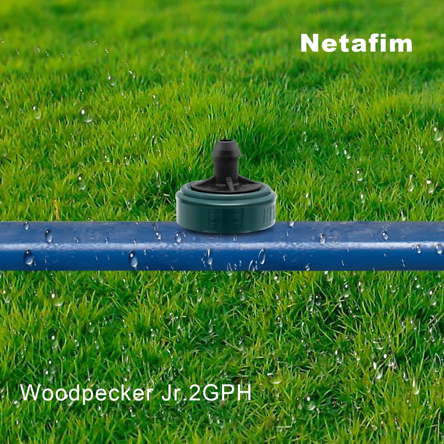 DripGrows Netafim 2 GPH Woodpecker Jr Pressure Compensating Drip Emitters (100)