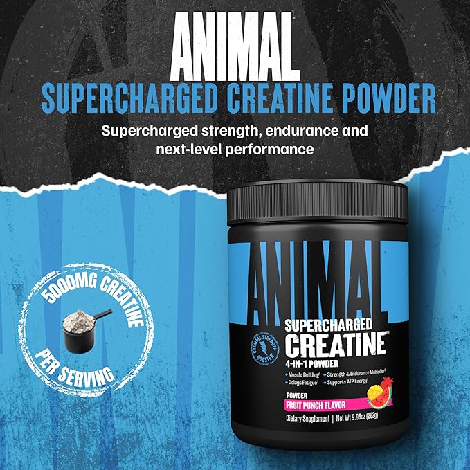 Animal Supercharged Creatine Powder - Flavored Creatine Monohydrate Enhanced with Betaine Anhydrous, PurpleForce & Senactiv, Strength, Endurance, Muscle Recovery for Men and Women – Fruit Punch, 300g