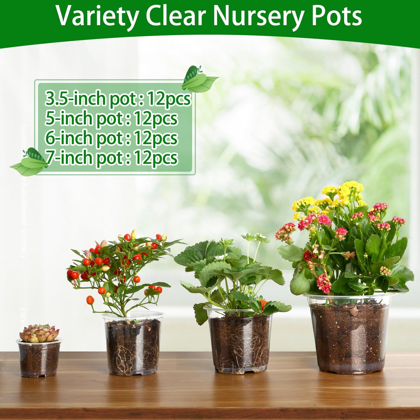 TAQIXI 48 Pack 7/6/5/3.5 Inch Clear Plastic Pots for Plants, Clear Nursery Pots with Drainage Holes, Reinforced Plastic Nursery Pots Variety Pack