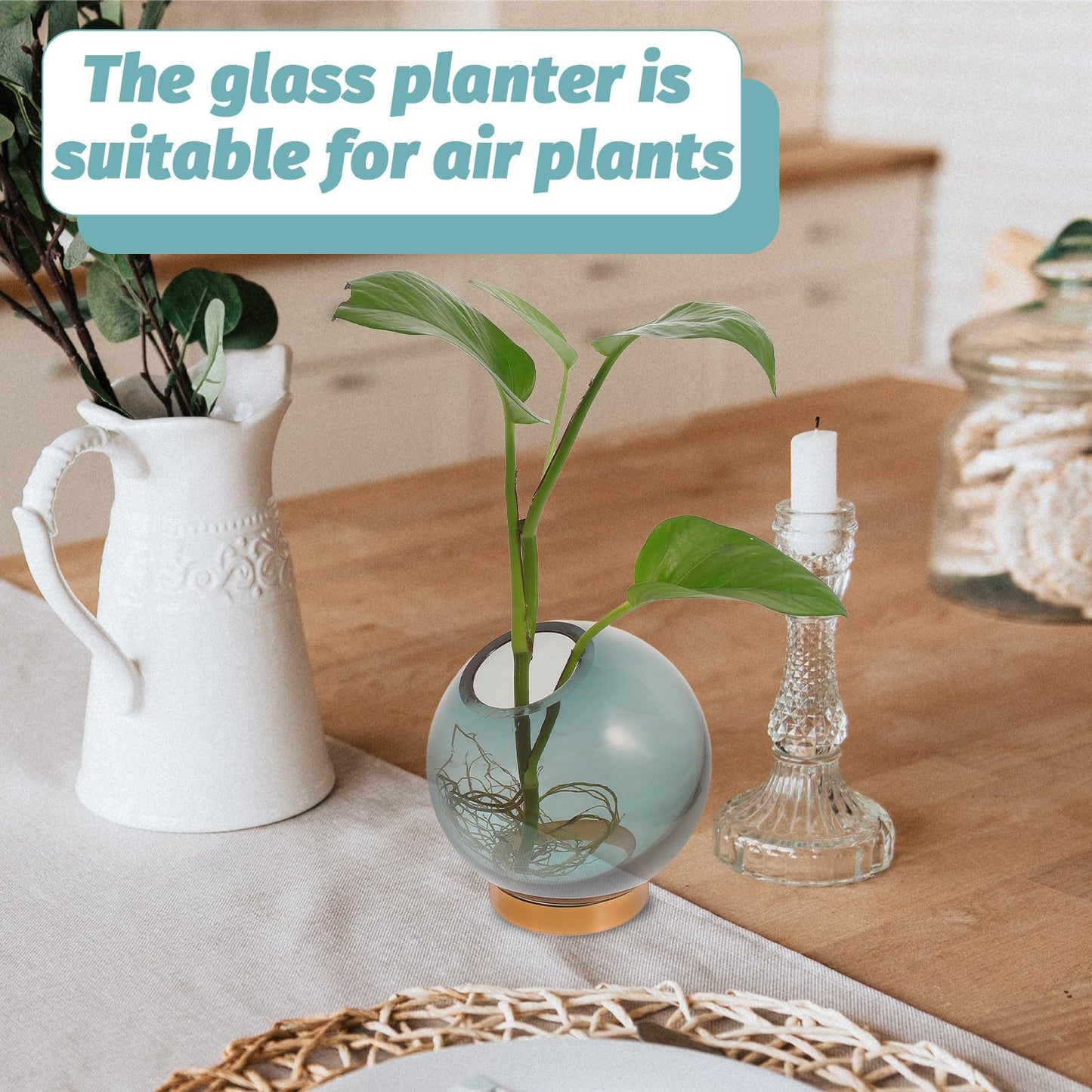 Cabilock Glass Hydroponic Vase with Copper Stand, Small Round Floral Arrangement Terrarium for Indoor Plant Decor and Hydroponic Flowers Display