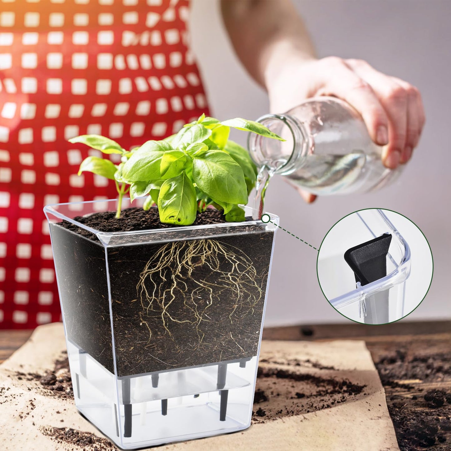 IWNTWY Self Watering Pots Set, 3 Pack 5 Inch for Indoor Plants, Clear Nursery Planter With Deep Reservoir for Spider Plant, Orchid, African Violet