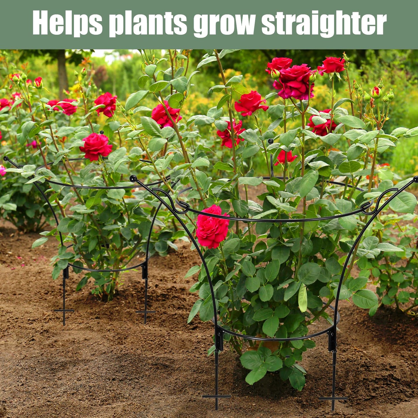 4 Pack Large Peony Cages and Supports,23.2" H X 13.4" D Metal Peony Support Rings,Tall Plant Support Garden Stakes for Outdoor Plants and Other Flopping Flowers
