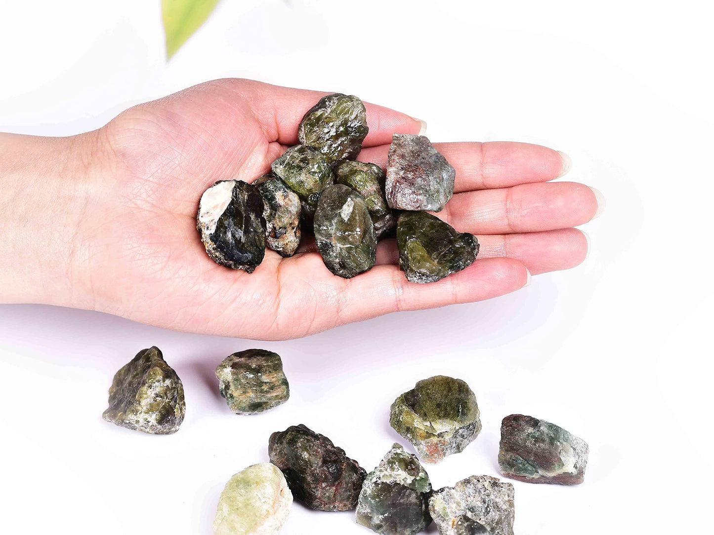 JIC Gem 12-16Pcs 0.7 Lbs Natural Green Apatite Quartz Crystals Bulk raw Stones Irregular Shape Madagascar Natural Quartz Crystals Rough Stones