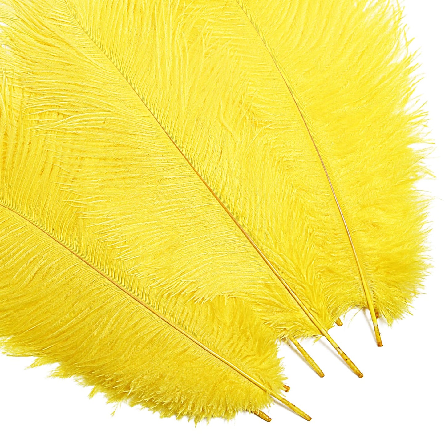 Bulk Yellow Ostrich Feathers - 12pcs 12-14inch Crafting Supplies for Centerpiece Table Decorations