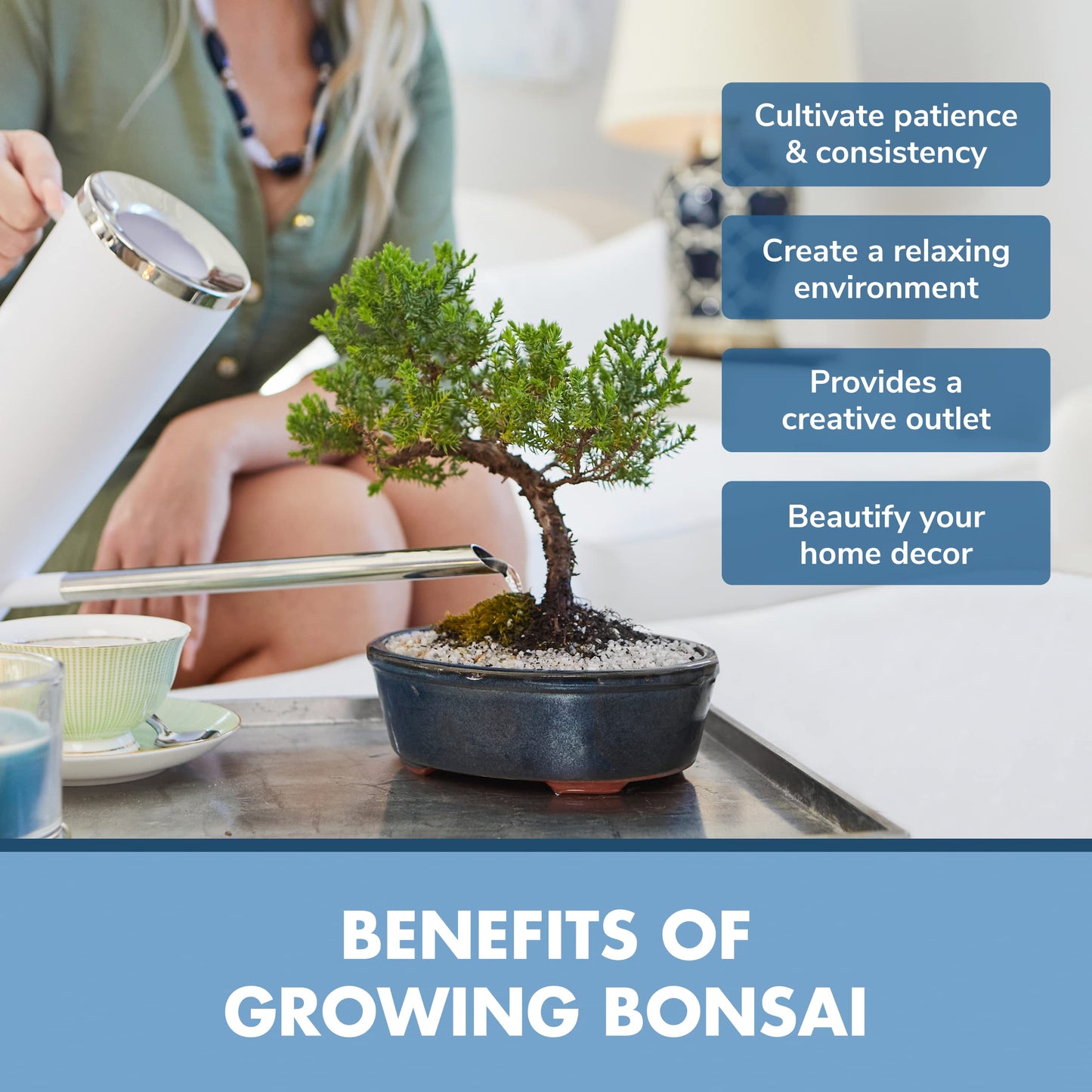 Garden Republic Bonsai Tree Kit - Mini Bonsai Seeds, 3 Types - for Indoor Plant Growing - Starter Kit with Seeds, Soil, Planters & Shears
