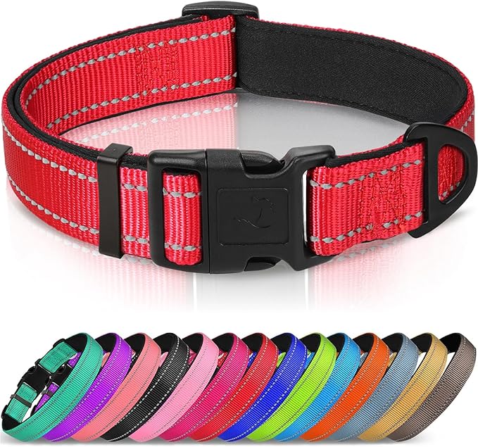 Joytale Reflective Dog Collar, Adjustable Neoprene Padded, Gray XL