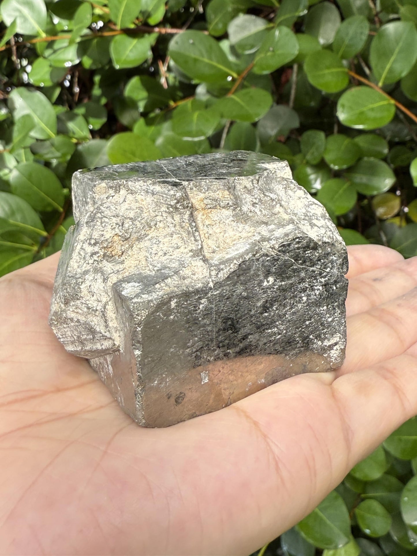 GAF TREASURES XL Raw Pyrite Cube, 3-4" Natural Rough Pyrite Cube, Pyrite Cube Rough, Pyrite Cube Healing Rough Crystal (Pyrite Cube, 0.5-1 lb)