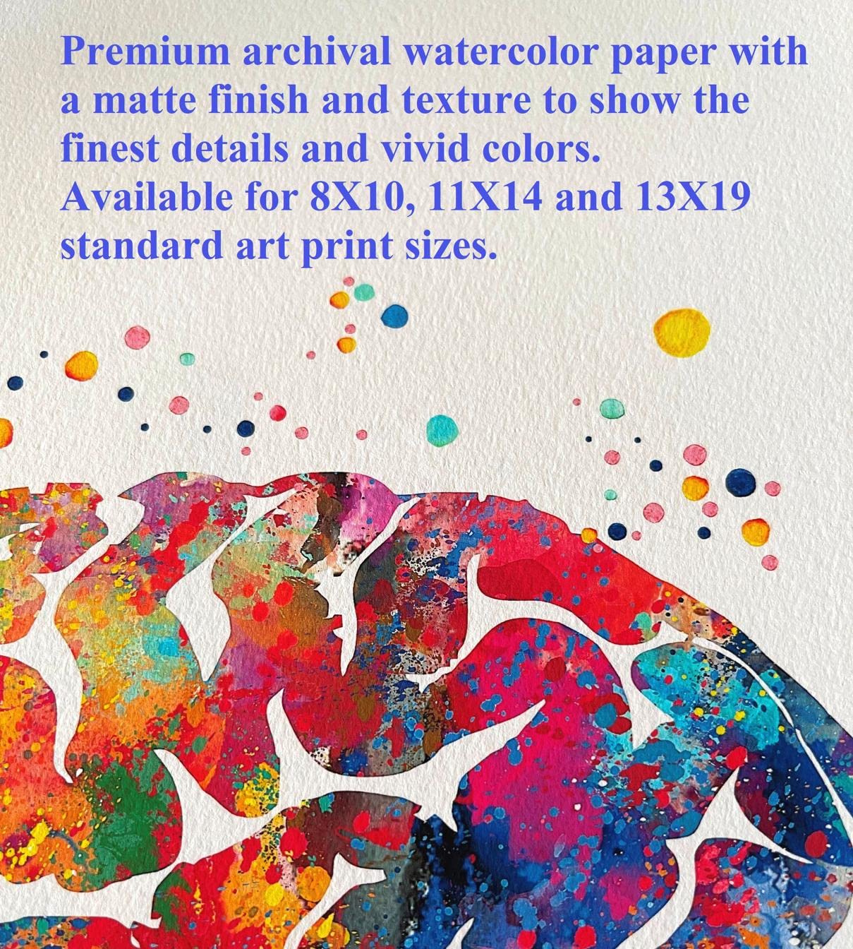 Dignovel Studios 8X10 Unframed Male Chromosome Illustration Diagram Watercolor Art Print Poster Medical Education Science Genetic Wall Hanging Decor DN914