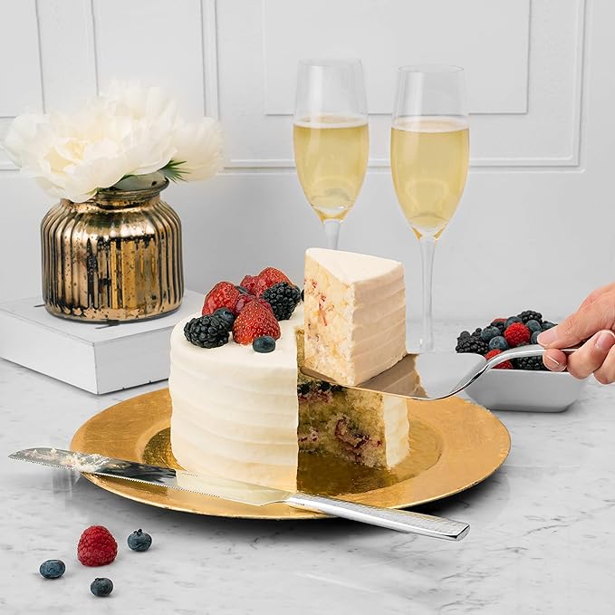 Hudson Essentials Hammered 18/10 Stainless Steel Cake Knife & Cake Server Set