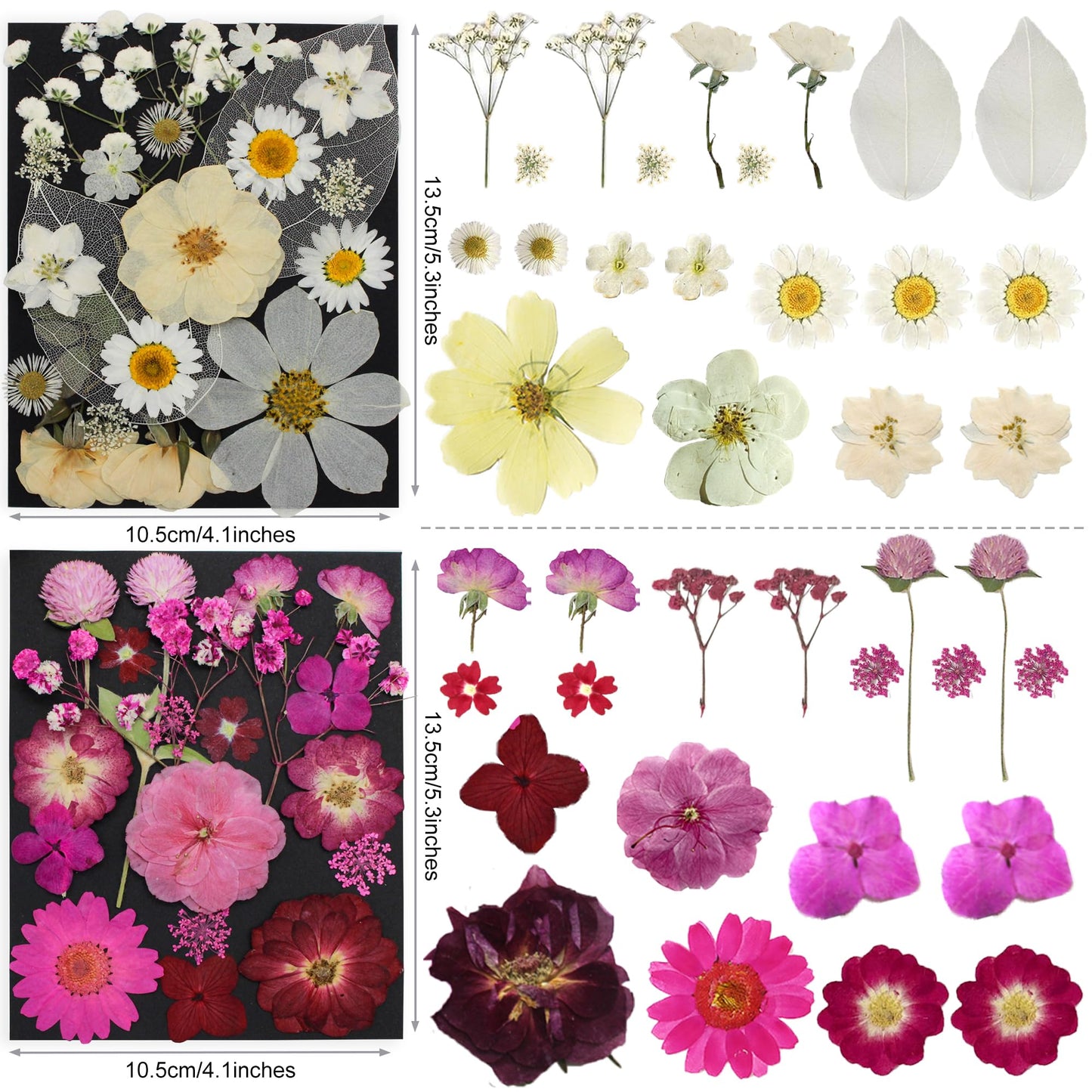 TrendCart 285Pcs 9 Packs Mixed Types Real Natural Dried Pressed Flowers & Leaves for Resin Molds, DIY Crafts, Jewelry Making + 100Pcs Butterfly Stickers + Tweezers
