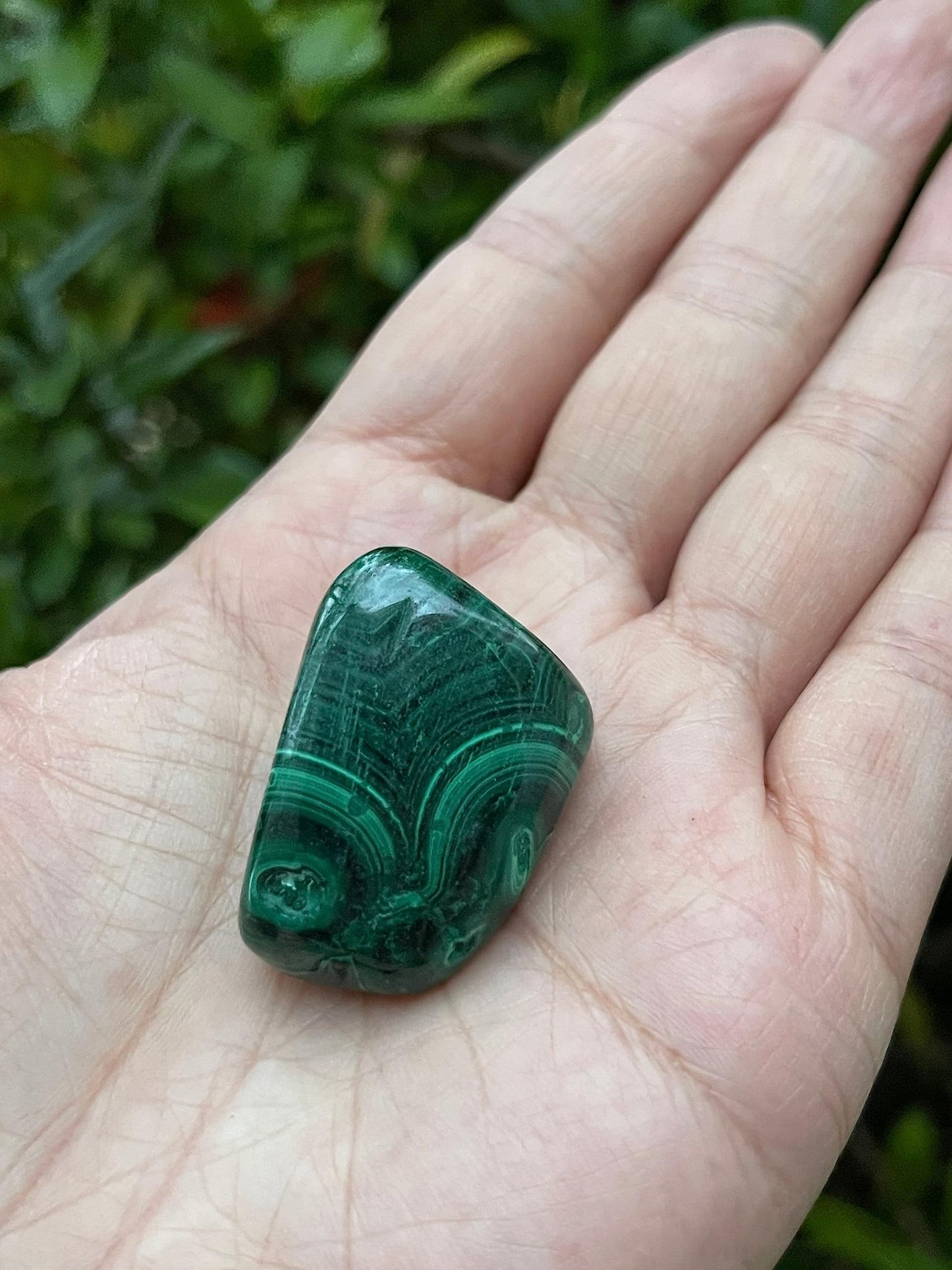 GAF TREASURES 5 Pcs Malachite Tumbled Stones, Polished Natural Malachite Gemstone, Malachite Healing Crystals (Malachite)