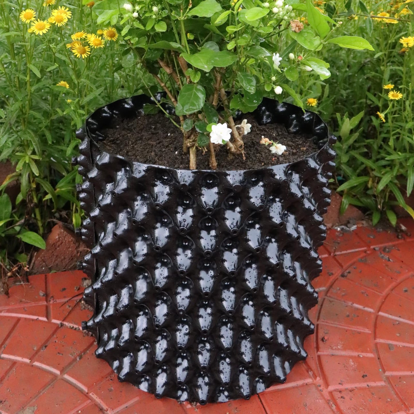 Plant air pruning pot, honeycomb porous structure design, improve root system development, prevent decay, suitable for flowers/vegetables/seedlings, farm planting solutions (Black, 8inches-3G-6P)