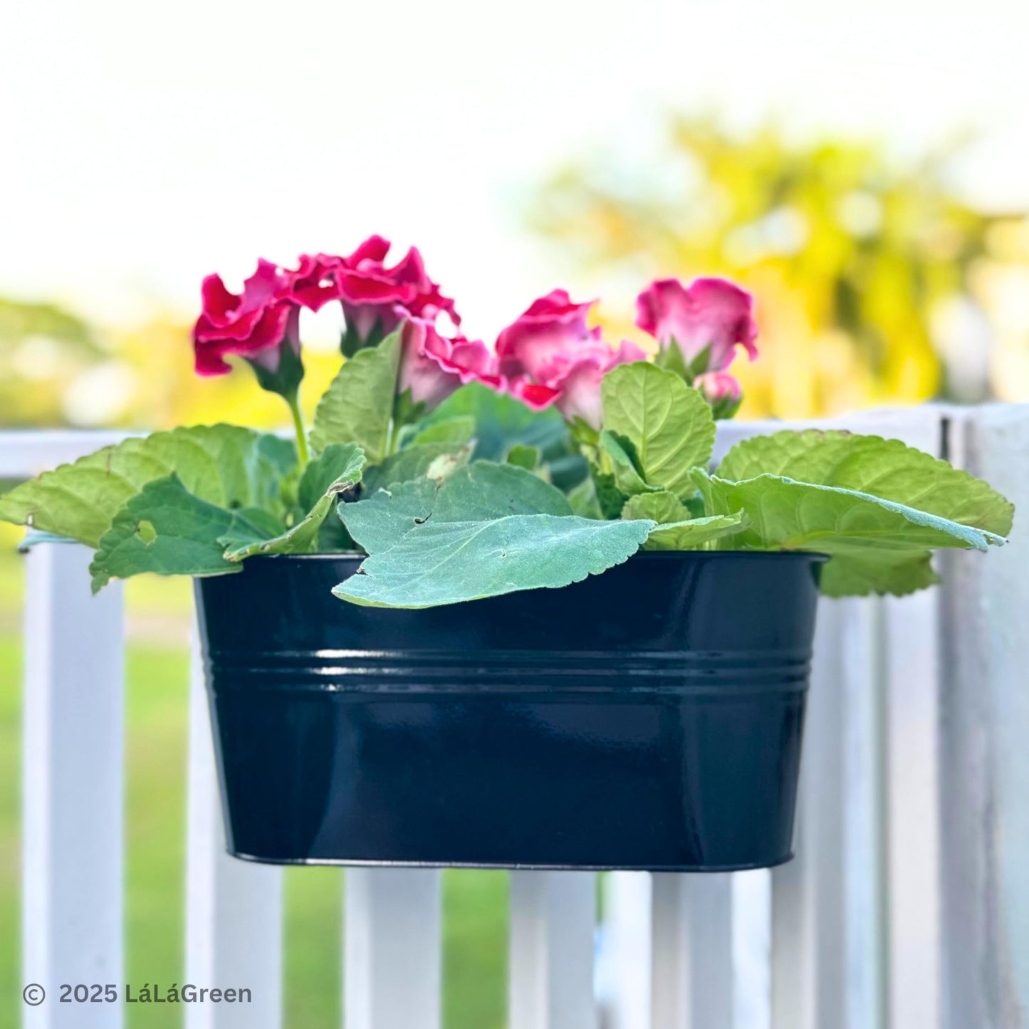 LaLaGreen Outdoor Plants Rail Planter (16 Inch, 10 Pack) Black Metal Iron Hanging Flower Pots Deck Railings Fence Balcony Modern Boho Style Wall Mount Window Boxes Plant Holder Hooks Porch Home Decor