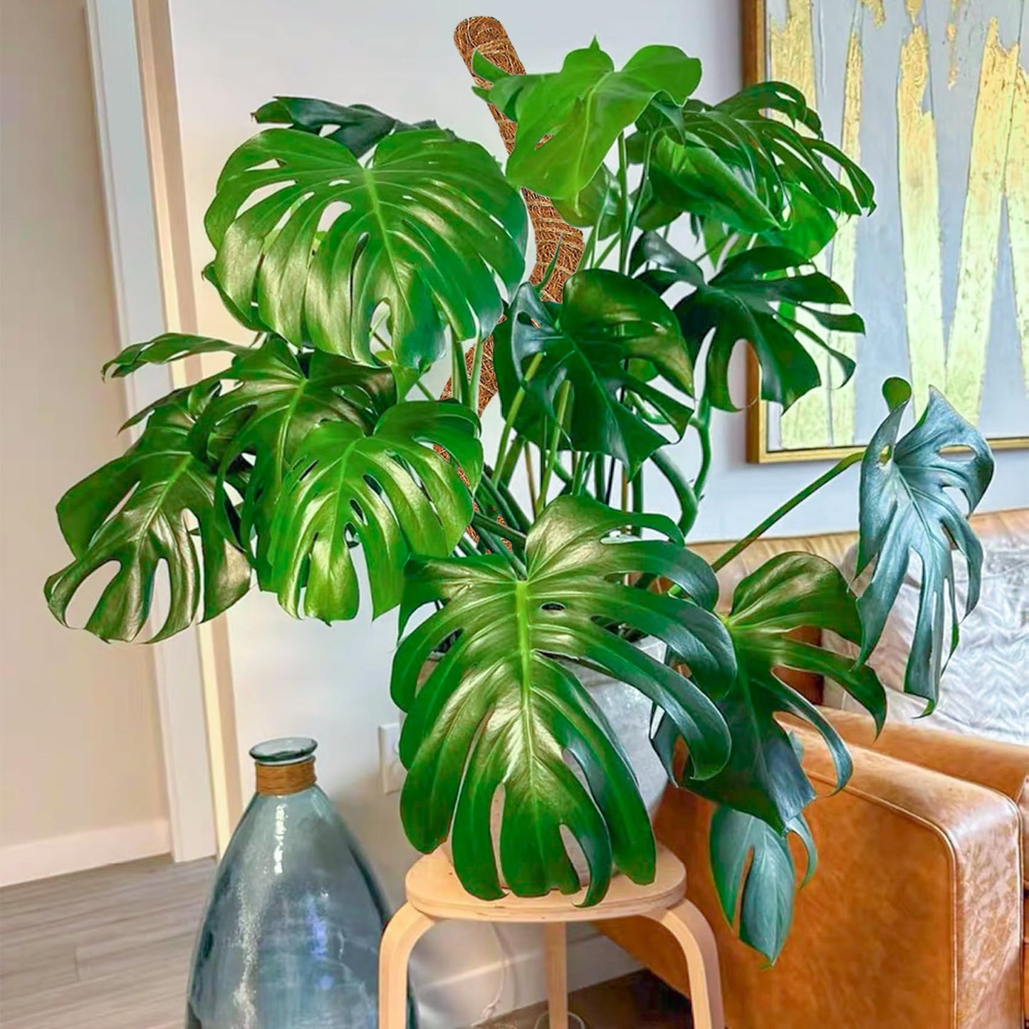 2 Pack 28 Inch Moss Pole Monstera Plant Support, Coir Moss Poles for Climbing Indoor Plants, Bendable Plant Stake Trellis for Potted Plant, Pothos, Philodendron