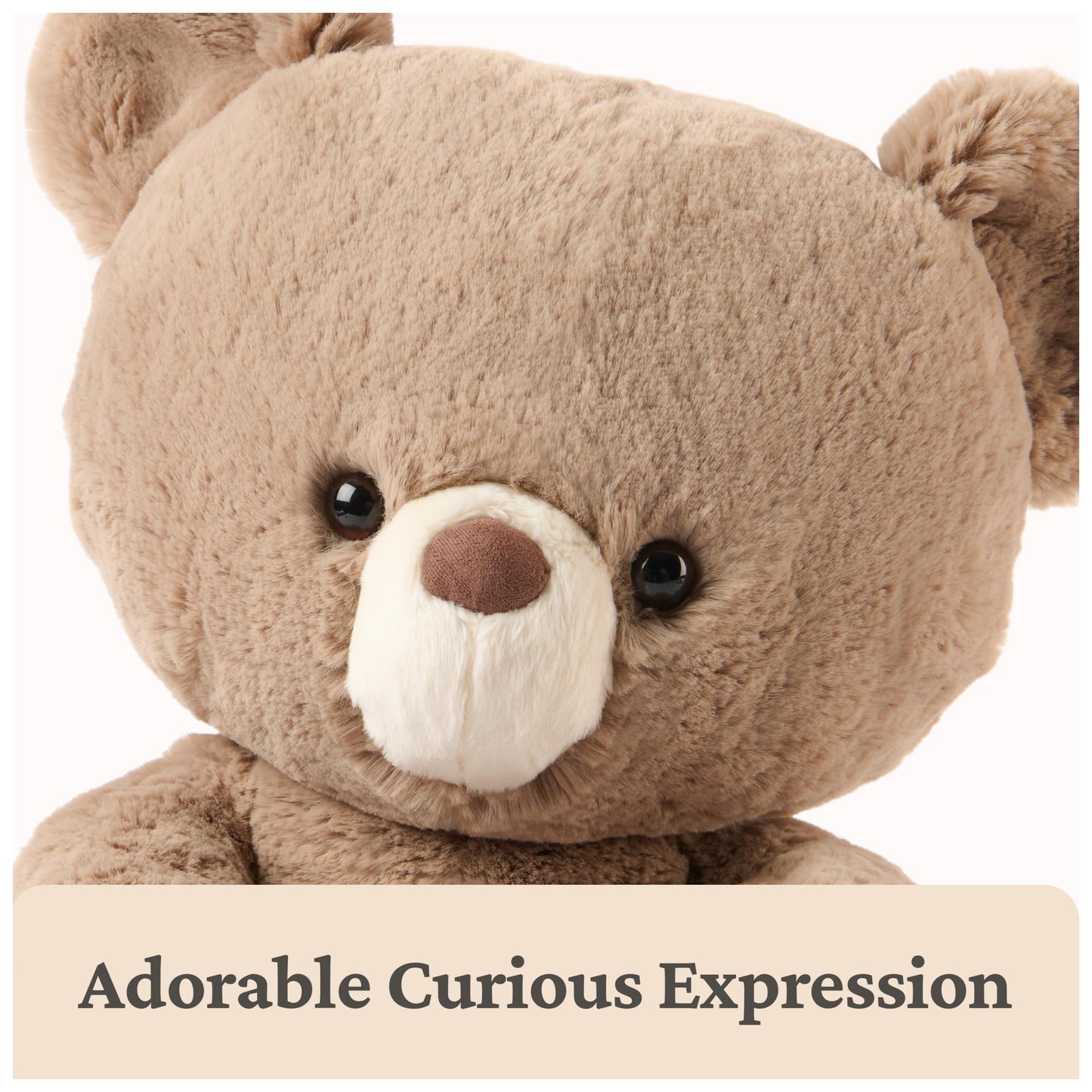 GUND Forever Friends: Kai Teddy Bear Plush Toy, As Seen on The View, Premium Stuffed Animal for Ages 0 and Up, Taupe, 12”