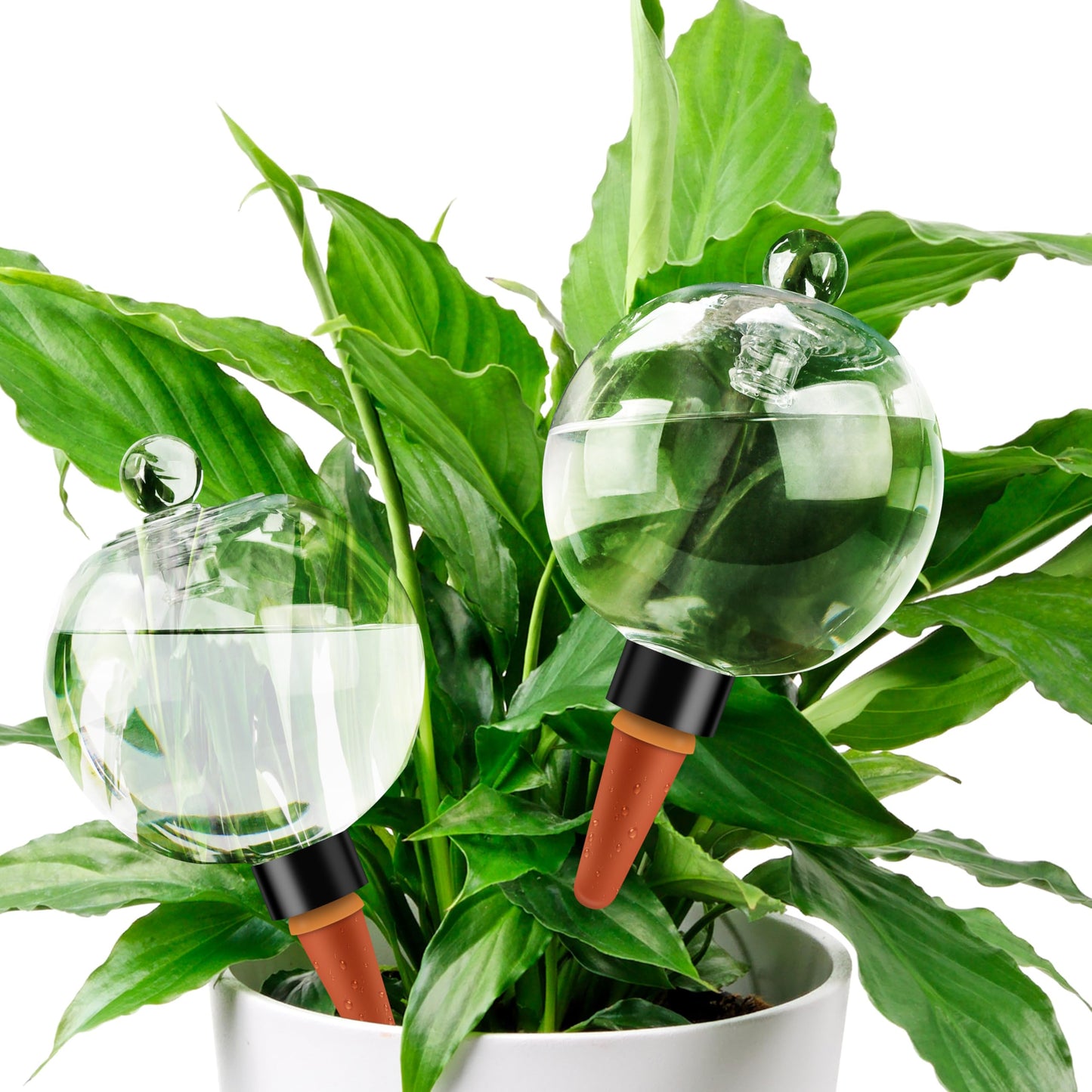 Soilagua 19 oz Extra Large Plant Self Watering Globes Top Fill, Plastic Water Bulbs, Slow Release Terracotta Self Watering Planter Insert, Plant Watering Devices System, Water Spikes Stakes, 2 Pack