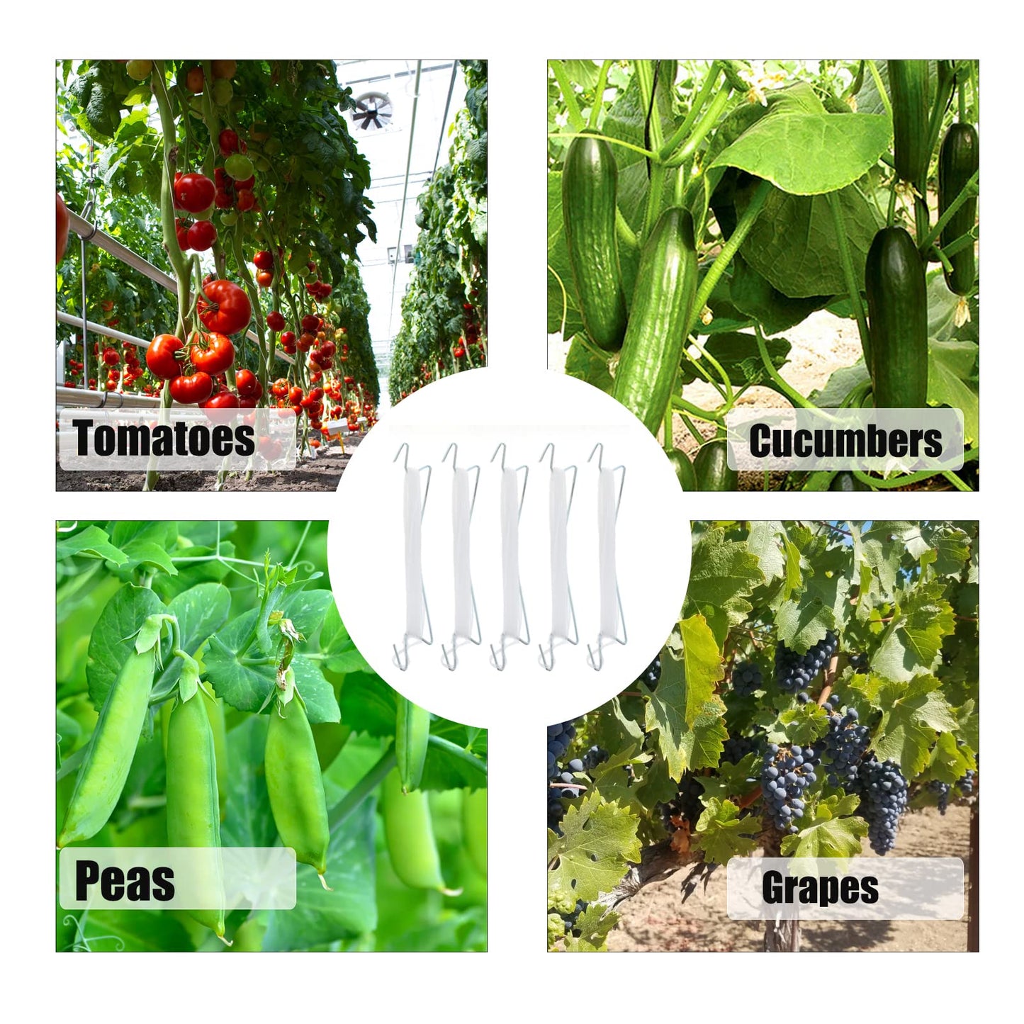 Bandelt 20pcs Tomato Support J Hooks, Tomato Climbing Hooks with 39ft Twine to Prevent Tomatoes from Pinching or Falling Off for Plant Vegetable Plant Fruit Flower