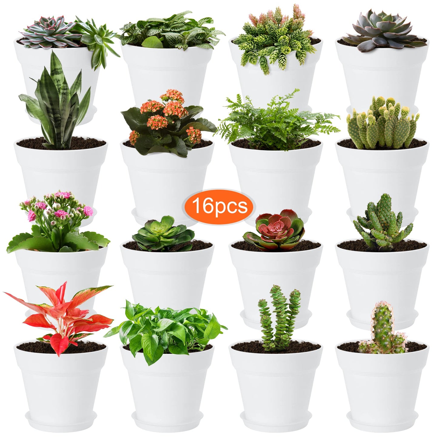 FHWTY 16 Pack Plastic Plant Pots YE & 16 Pack Plastic Plant Pots BK