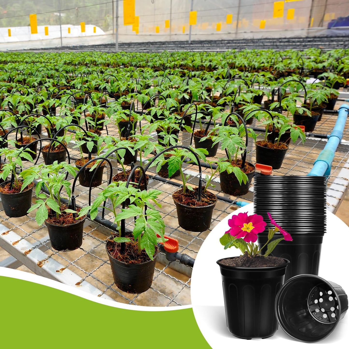 BeapTcely 50 Pcs 1 Gallon Nursery Pots, Flexible Plant Seedling Pots Transplanting Soft Plastic Planters with Drainage Holes for Planting Garden Flower Plant Container Cups Planter (50, 1 Gallon)