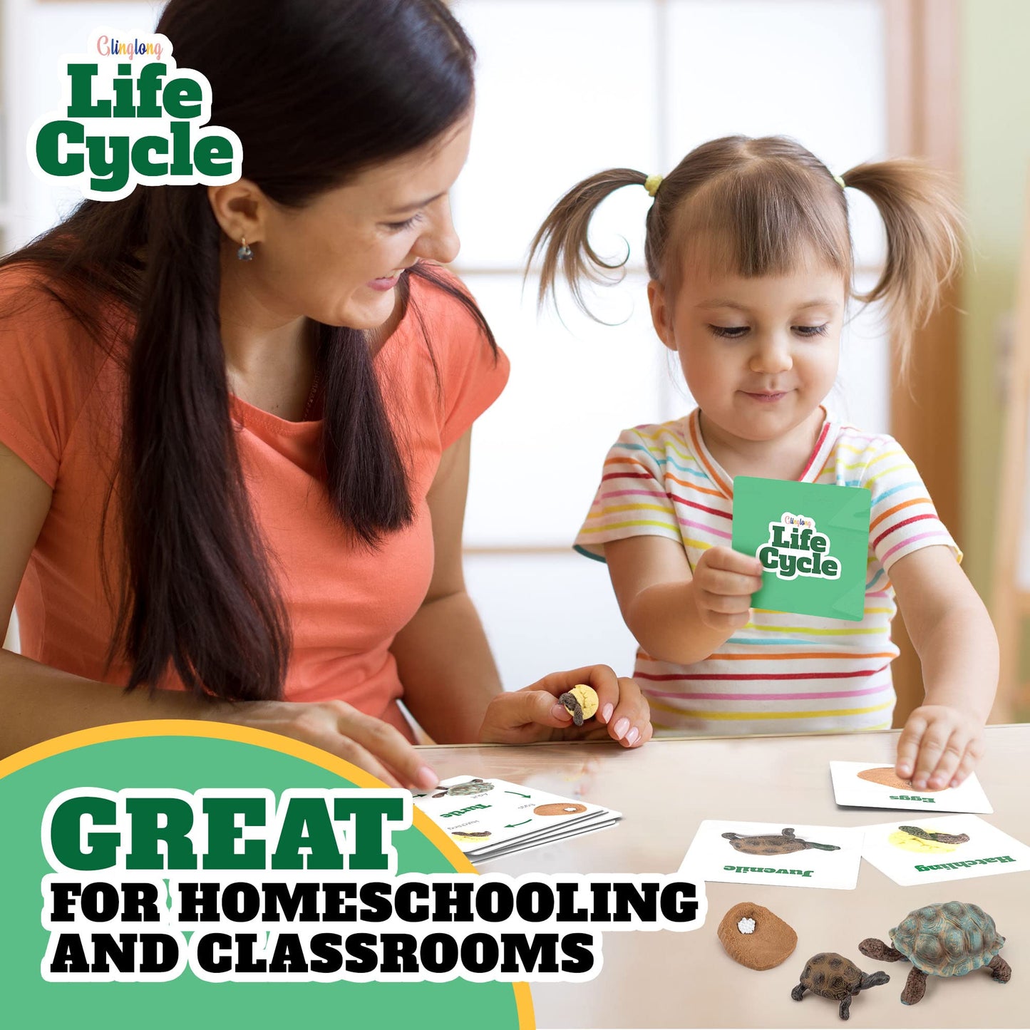 Life Cycle Animal Kit - Montessori Science Toy with 24-Piece Matching Game, Butterfly, Frog, Chicken, Bee, Ladybug and Turtle STEM Educational Gift, Easter Basket fillers for Kids Ages 3-8