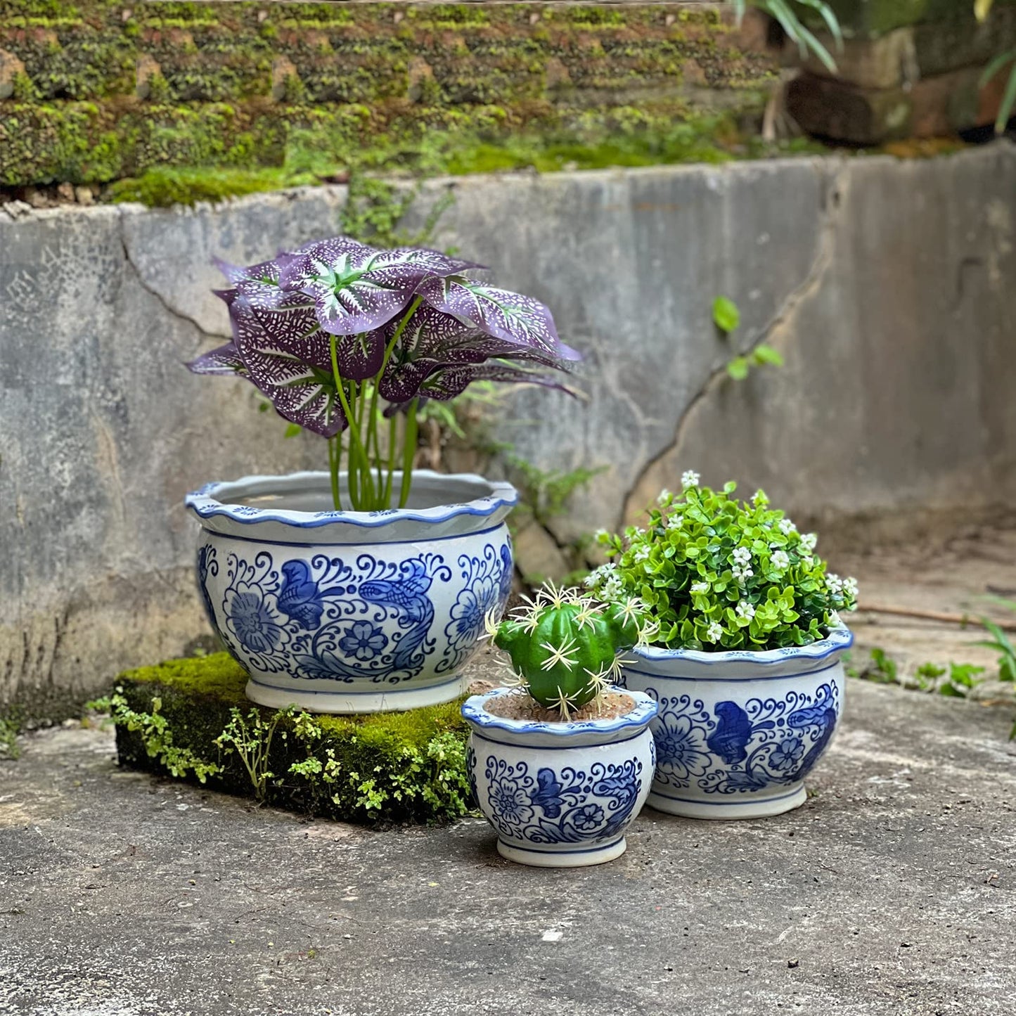 HakkaGirl Blue and White Planters, Succulent Pots Ceramic Plant Pots Indoor with Drainage for Home Décor - Set of 3