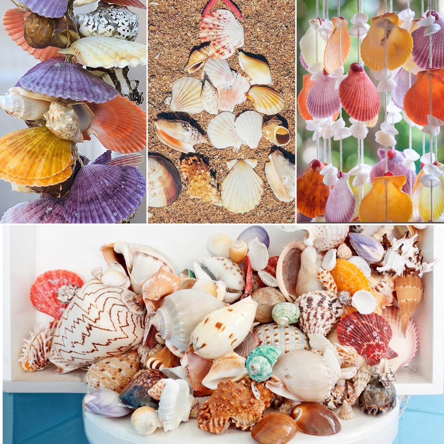 Fangoo 1.5 LB Mixed Sea Shells, 130+ PCS Beach Seashells Starfish Oyster Shells Various Sizes Ocean Seashells for Fish Tank Vase Fillers Beach Theme Party Wedding Decor DIY Crafts Home Decorations