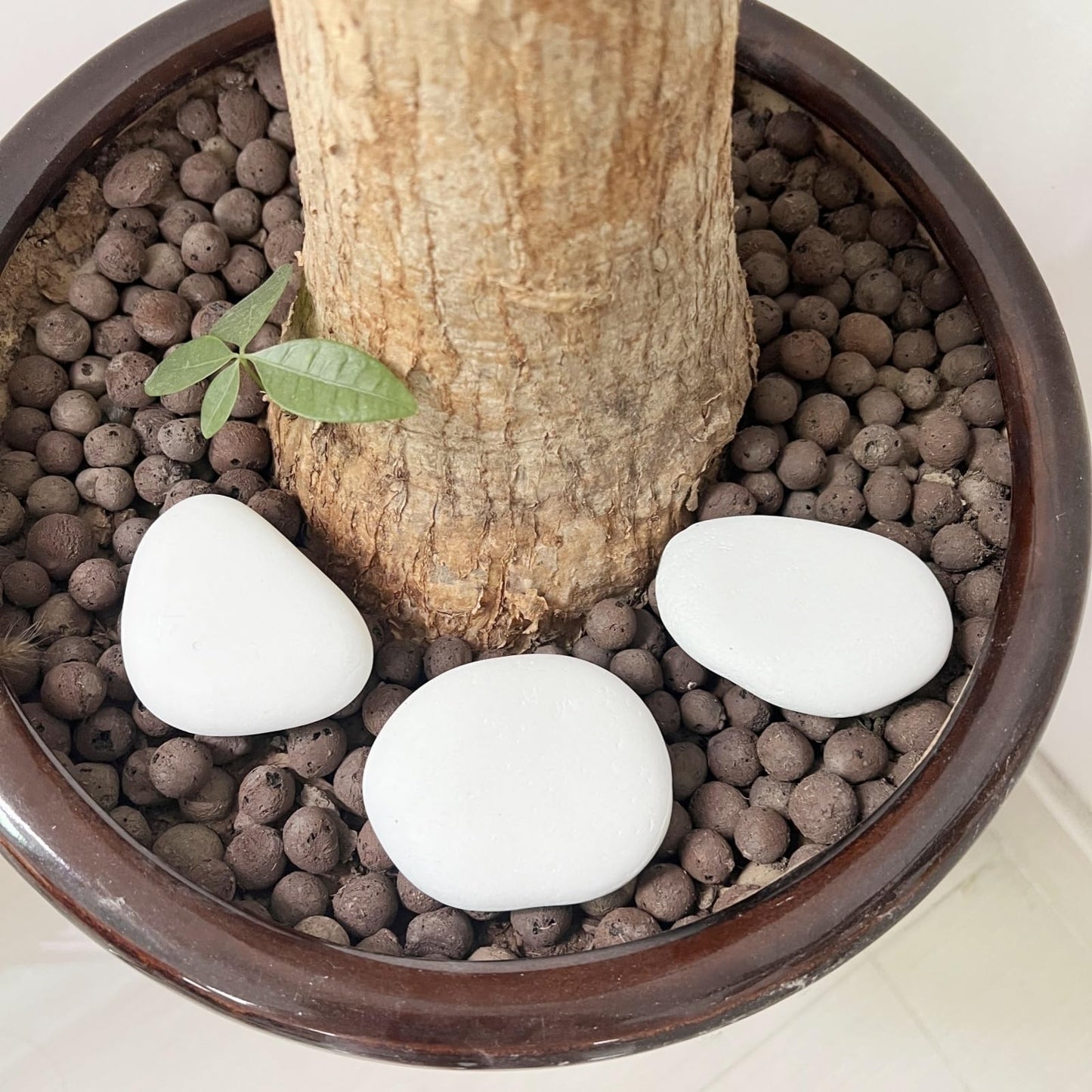 CYLHCM 30PCS White Rocks for Painting, Flat DIY Painting Rocks, Medium Smooth Rocks for Crafts, Arts,Decoration, Kindness Rocks Hand Picked for Painting