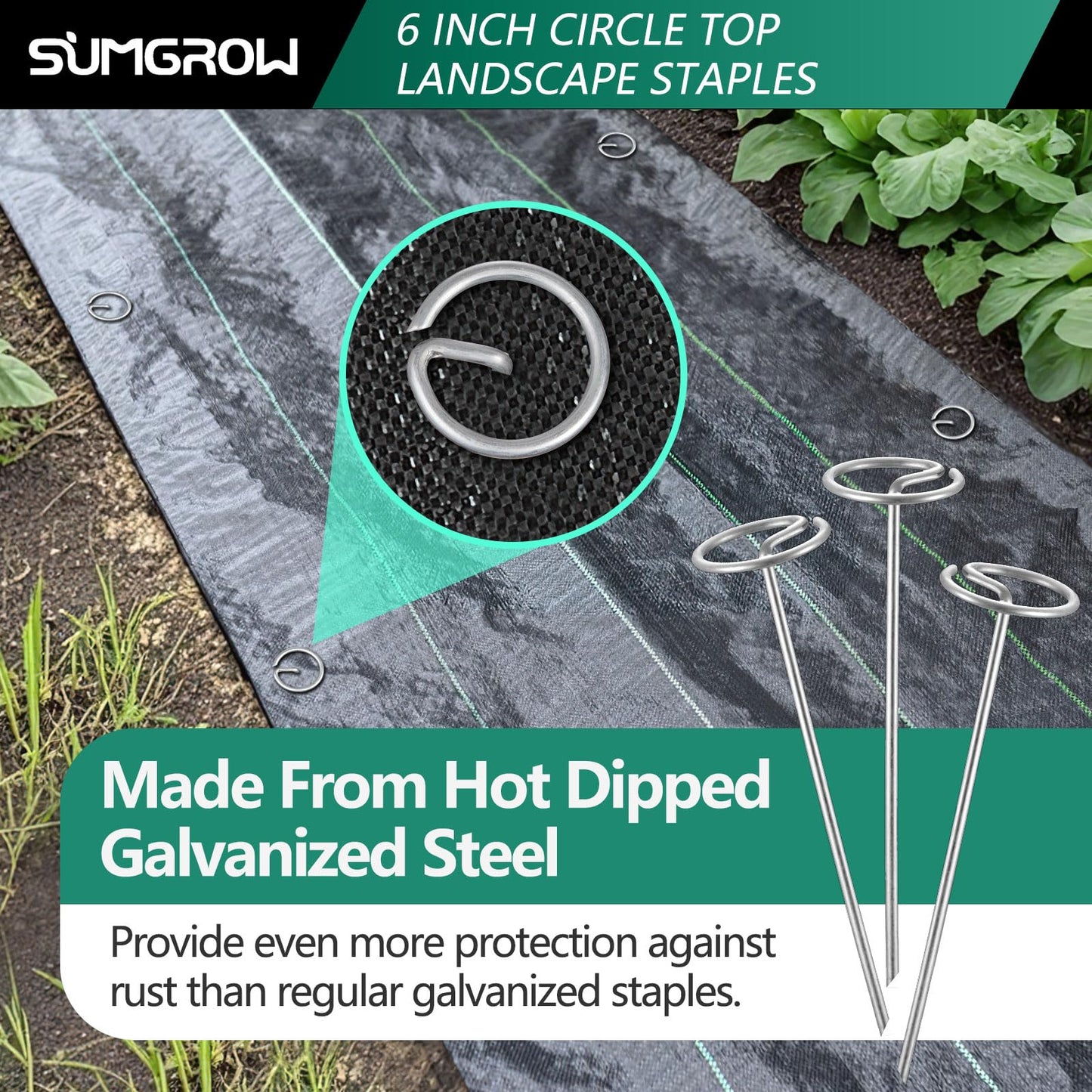 SUMGROW 60 Pack 6-inch, Landscape Staples, Fabric Pins, Weed Barrier Stakes, Circle Top Galvanized Steel Spikes for Securing Outdoor Tent, Ground Sheets, Fleece, Edging, Lawn Turf, Decorations