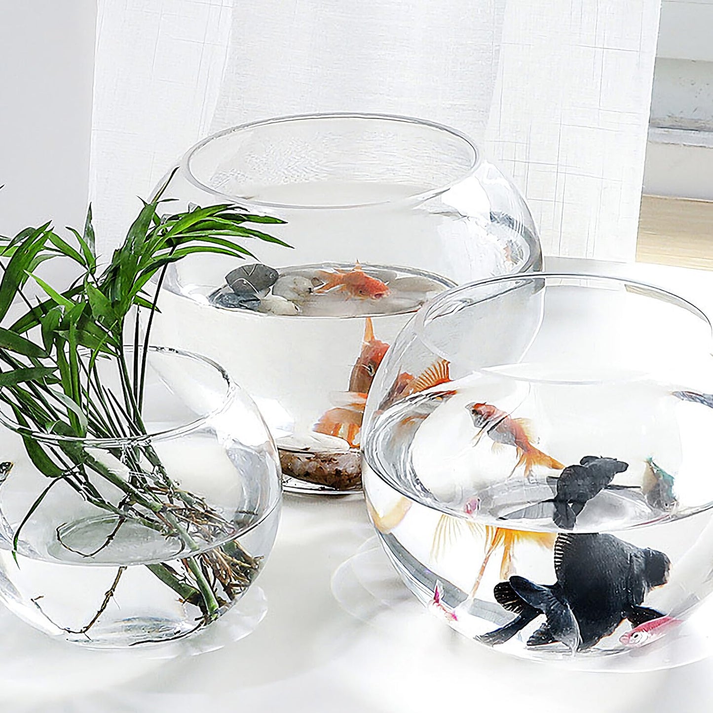 Healeved Glass Hydroponic Plant Vase 20cm Round Fish Tank Terrarium Holder Desktop Flower Pot for Home Office Decor