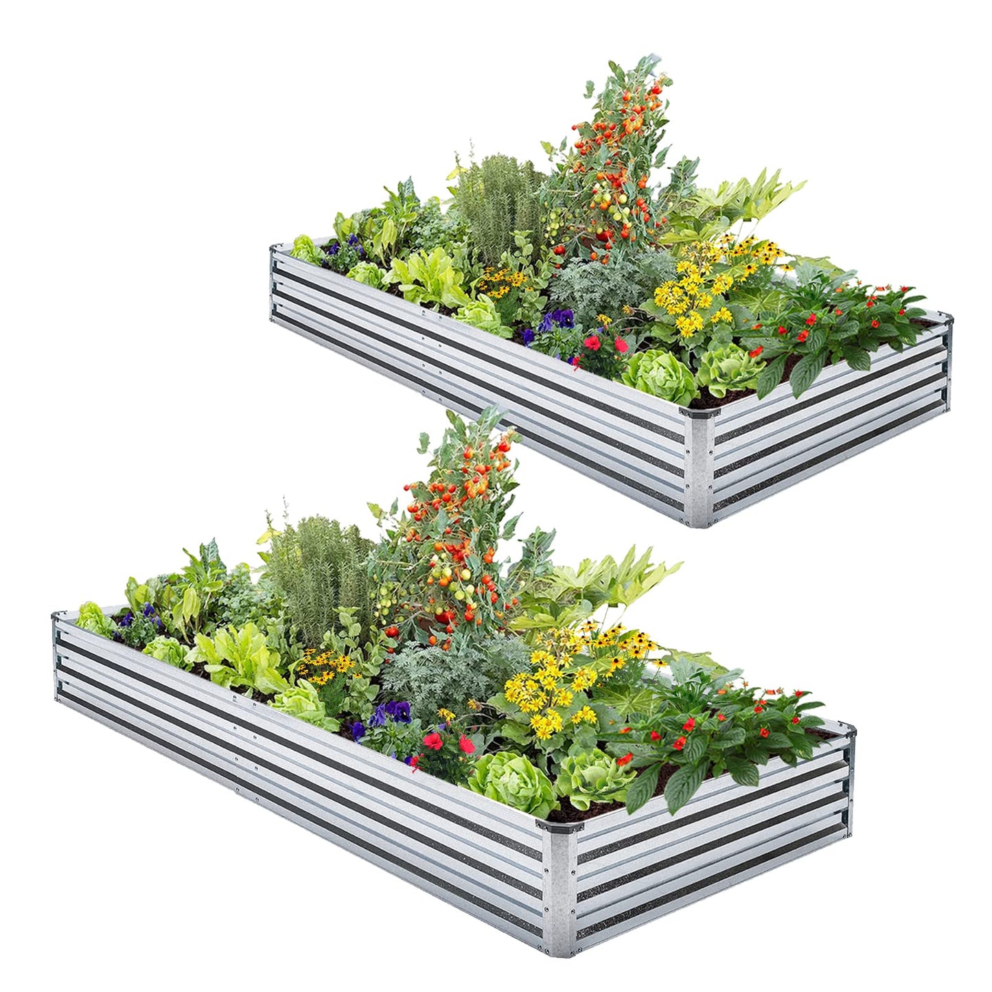 Veezyo Galvanized Raised Garden Bed Kit - Metal Raised Planter 2pcs/Pack 6'x3'x1' for Flowers Plants, Vegetables Herb