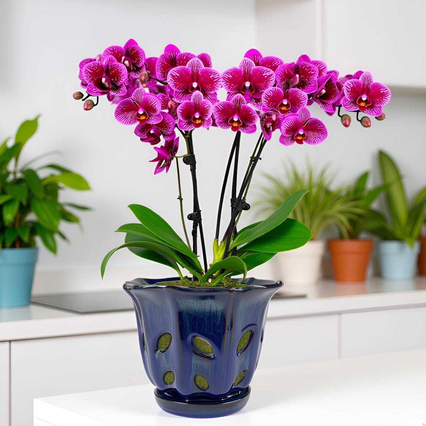 Grdthzey Ceramic Orchid Pots with Holes 6 inch (Dark Blue)
