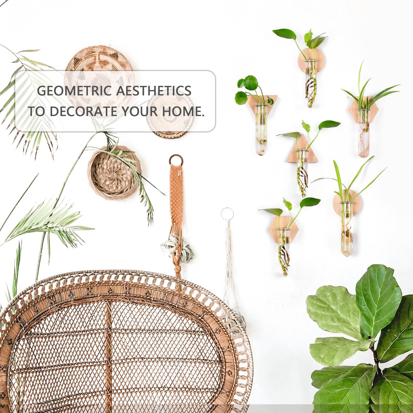 MITIME Wall Hanging Planter Glass Plant Propagation Station,Geometric Wooden Stand for Home Office Decoration.