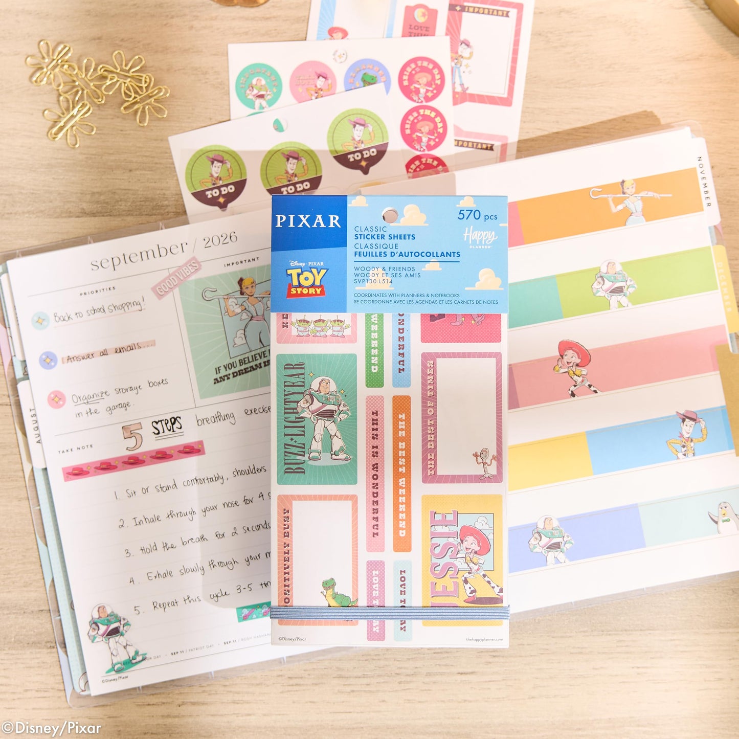 Happy Planner Disney Toy Story 30-Sheet Sticker Pack for Planners, Calendars, and Journals, Easy-Peel Sticker Sheets, Scrapbook Accessories, Woody and Friends